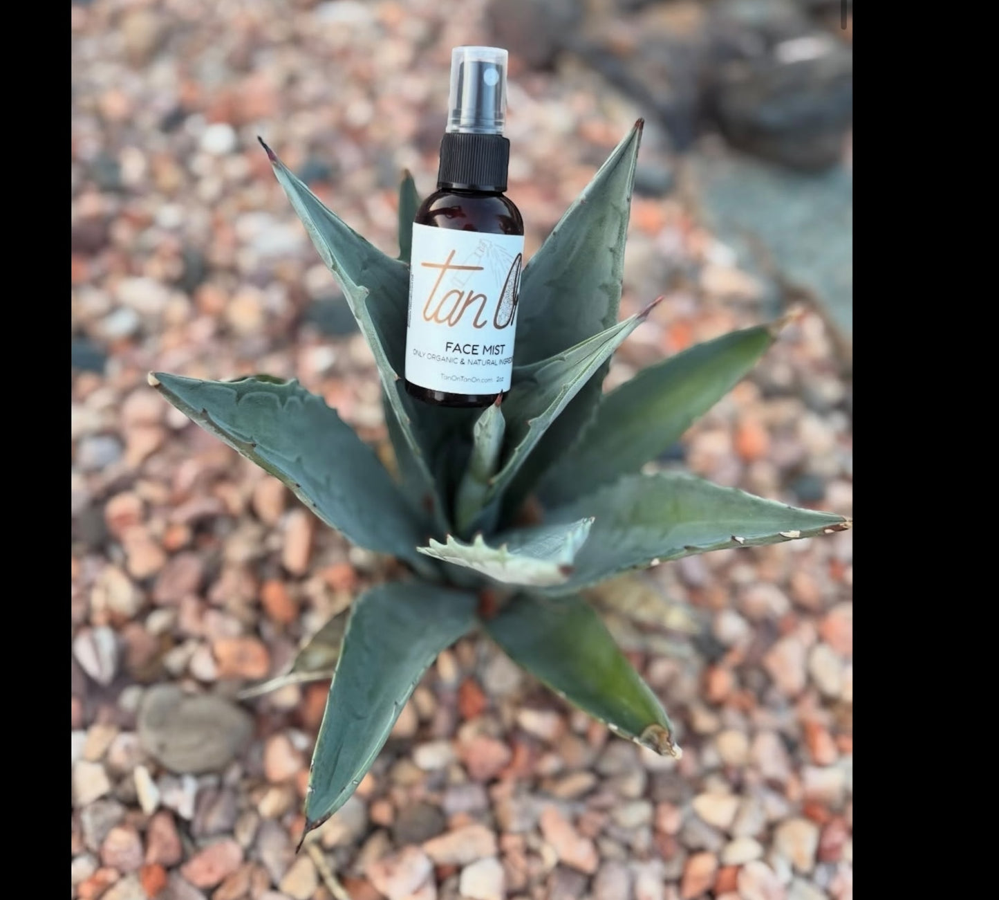 Tan On Face Mist Instant Bronzer