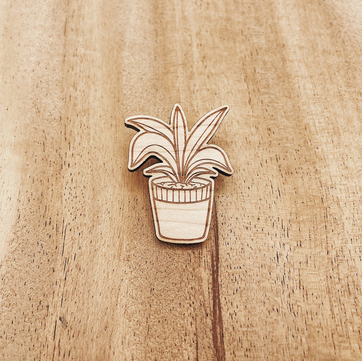 Pleomele Plant Wooden Pin